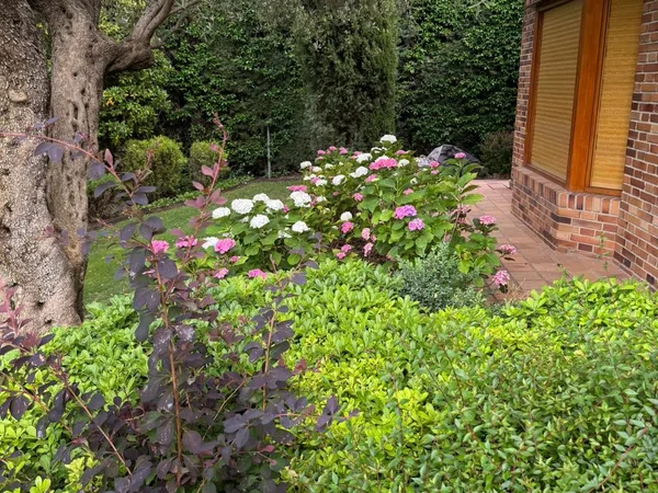 Casa o chalet independiente en Montealina - Foto 16