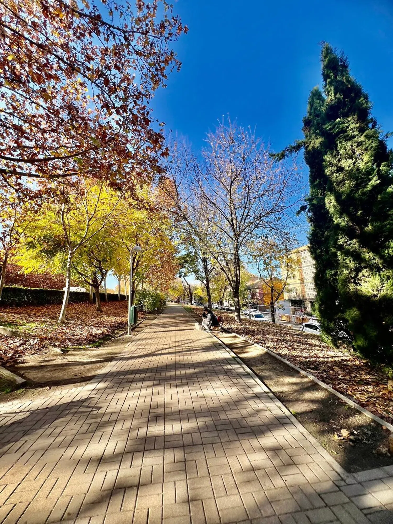 Piso en calle del Diario la Nación, 19 - Foto 29