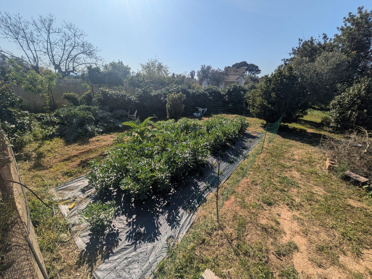 Casa independiente en camino del Caramello a la canyada de Tello, 4 - Foto 32