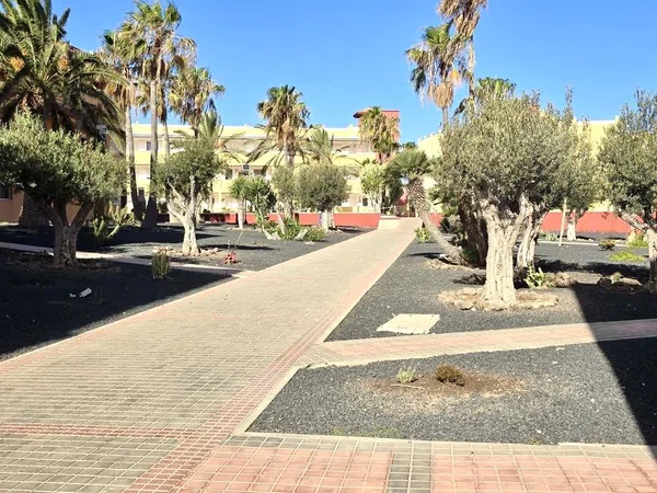 Piso en Calle los Pedruscos, 1, Parque Holandés, Parque Holandés - Foto 18
