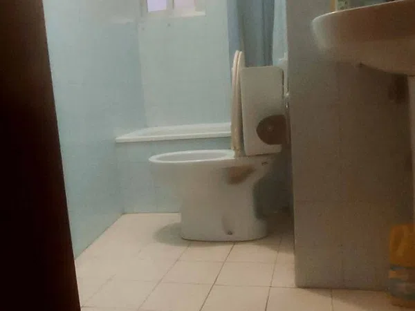 Casa independiente en calle de Sanjurjo Badía, 182 - Foto 19