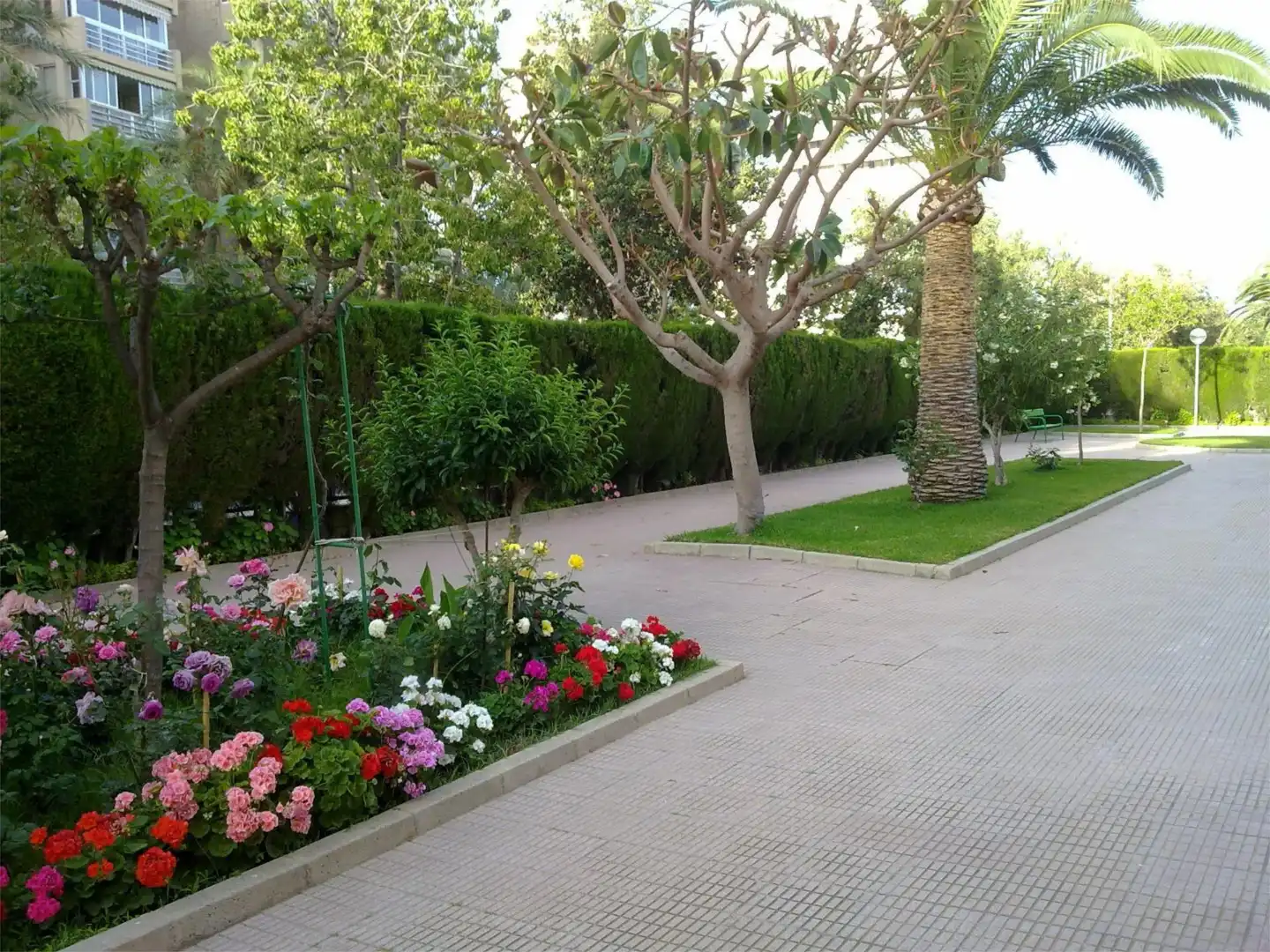 Piso en  Avenida Benidorm 5 - Foto 13