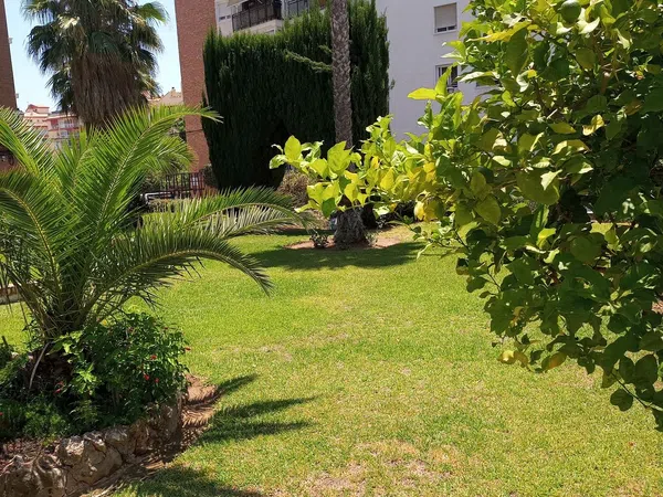 Piso en Avenida Acapulco, 15, Los Boliches, Los Boliches - Foto 39