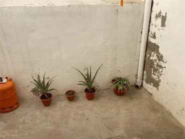 Chalet en Templete - Foto 1