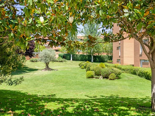 Piso en Calle Tramontana, 35, Prado de Somosaguas - Foto 27