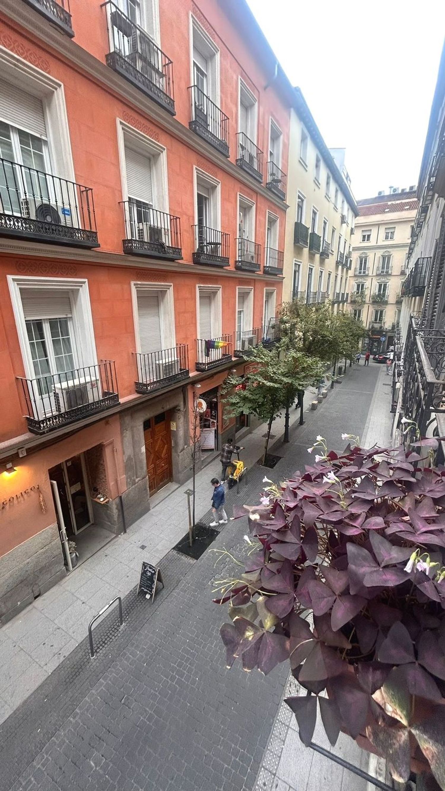 Piso en Calle Barbieri, 3, Chueca-Justicia - Foto 16