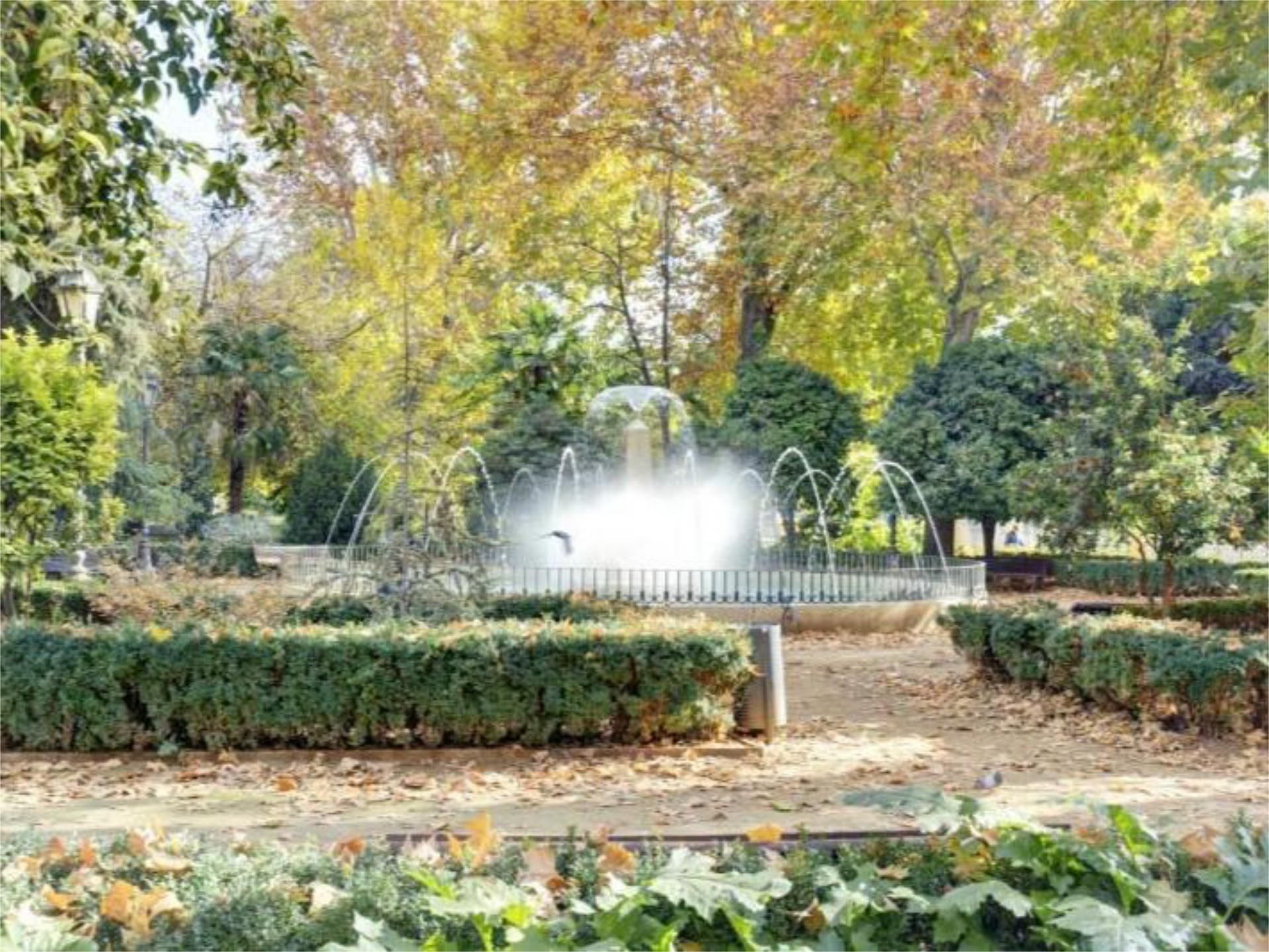 Piso en  Paseo de los Basilios 6 - Foto 22