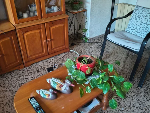 Piso en Calle Pardo Gimeno, 73, Babel - Foto 6
