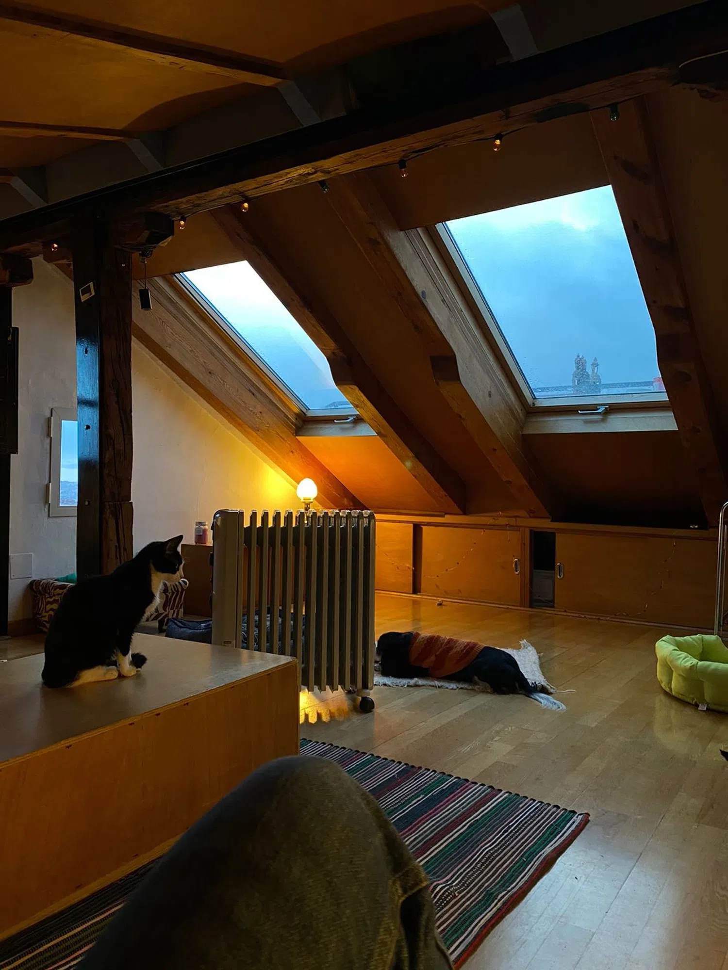 Dúplex en calle Olivar, 14