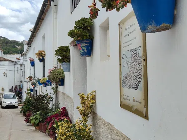 Casa de pueblo en Calle Sierra Bermeja, 1 - Foto 19