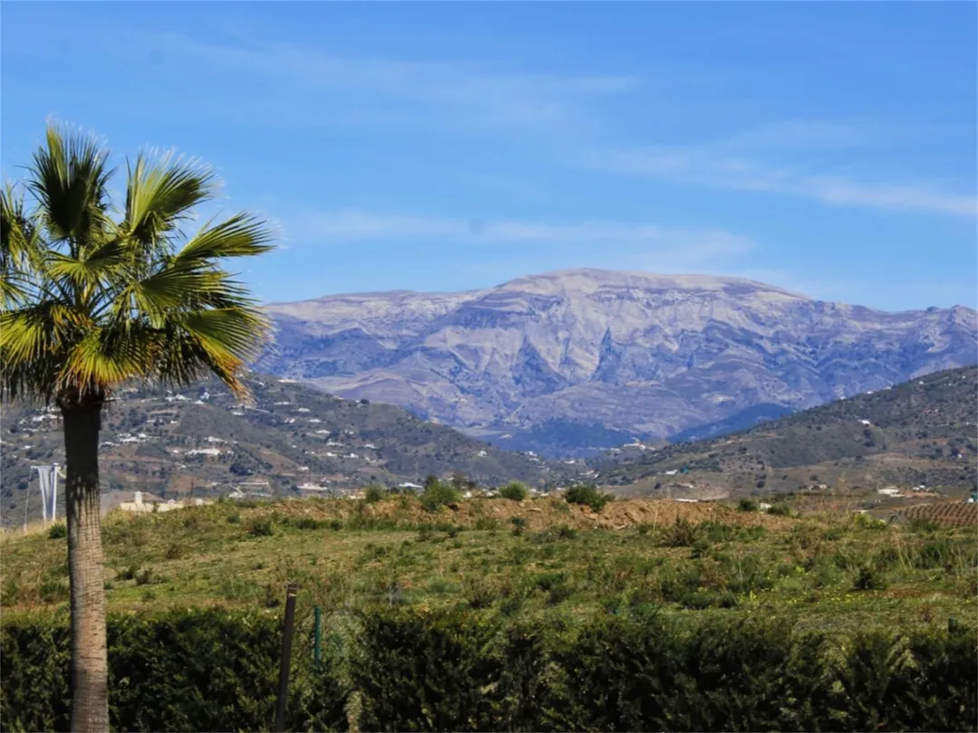 Piso en  Avenida Palmeras de Baviera a2 - Foto 19