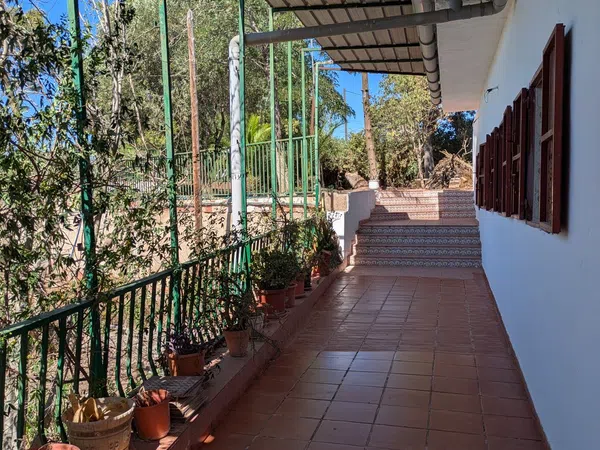 Casa o chalet independiente en Calle Partida del Barranquet, 1 - Foto 9