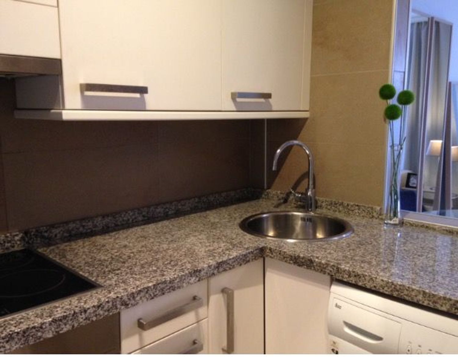 Estudio en Calle teodoro cuesta, 7, Ciudad Naranco-Prados de La Fuente - Foto 5