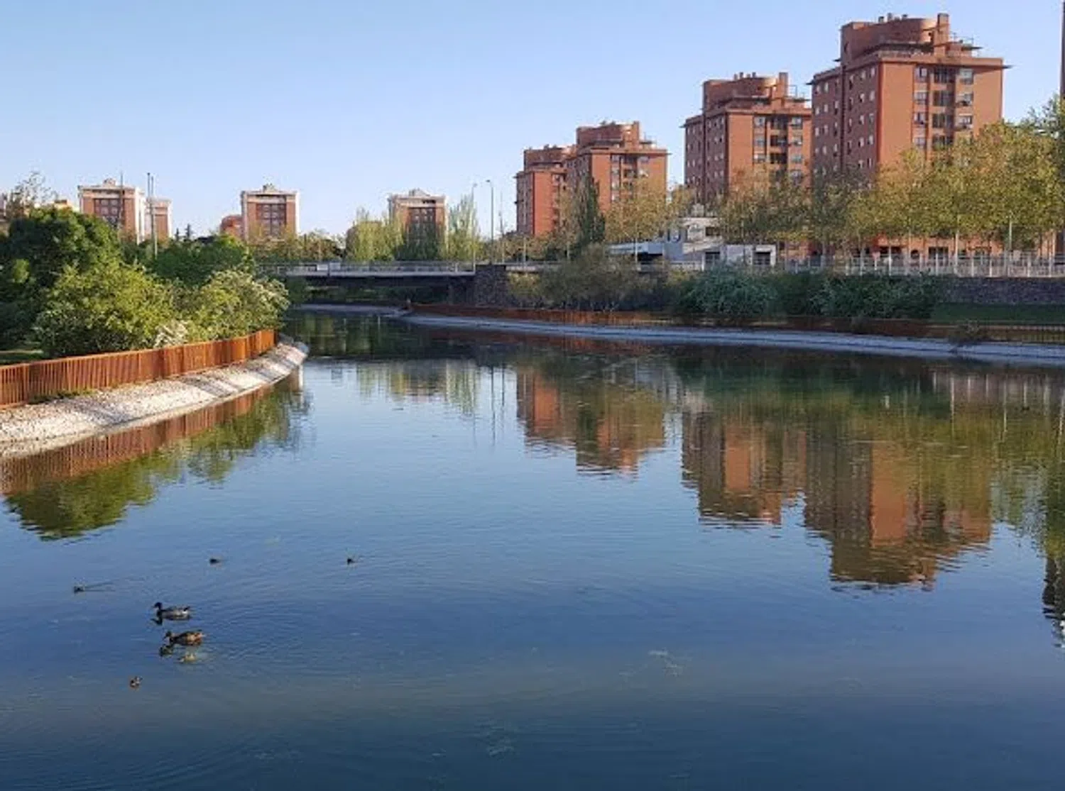 Piso en Loranca - Foto 20