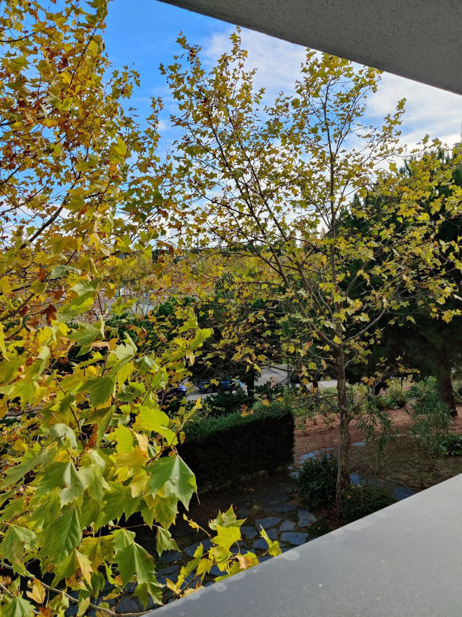 Dúplex en Sector Foresta, 14 - Foto 25