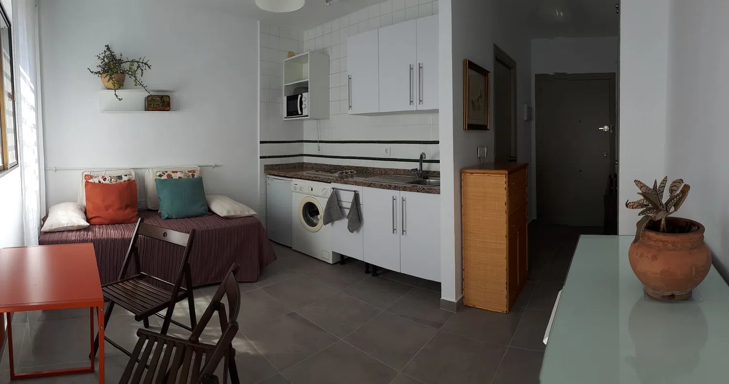 Estudio en calle Antonio Maura Montaner, 4 - Foto 14