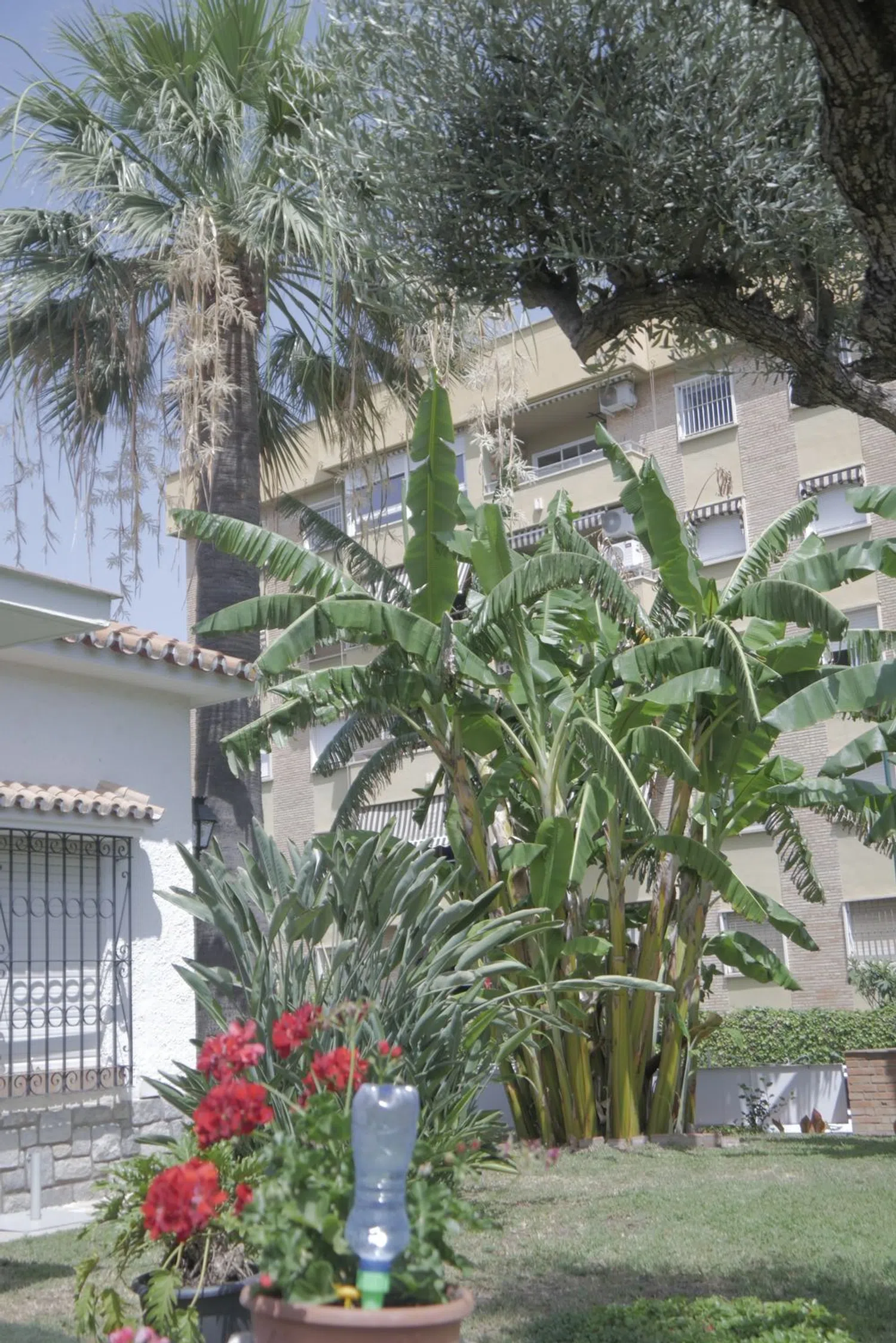 Casa independiente en calle Don Diego de Miranda, 6 - Foto 6