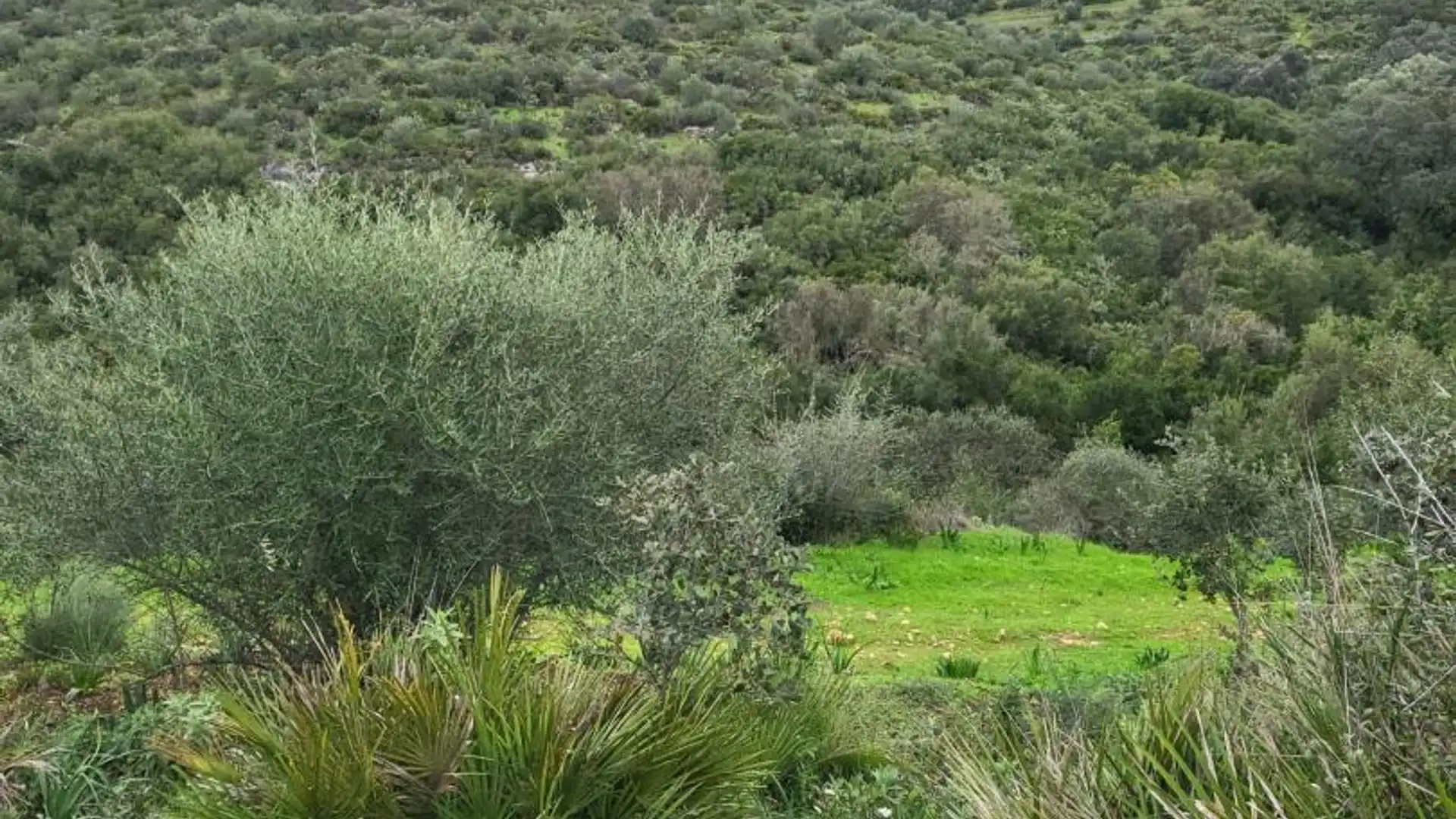 Finca rústica en  Calle Héctor Villa-Lobos 5 - Foto 8