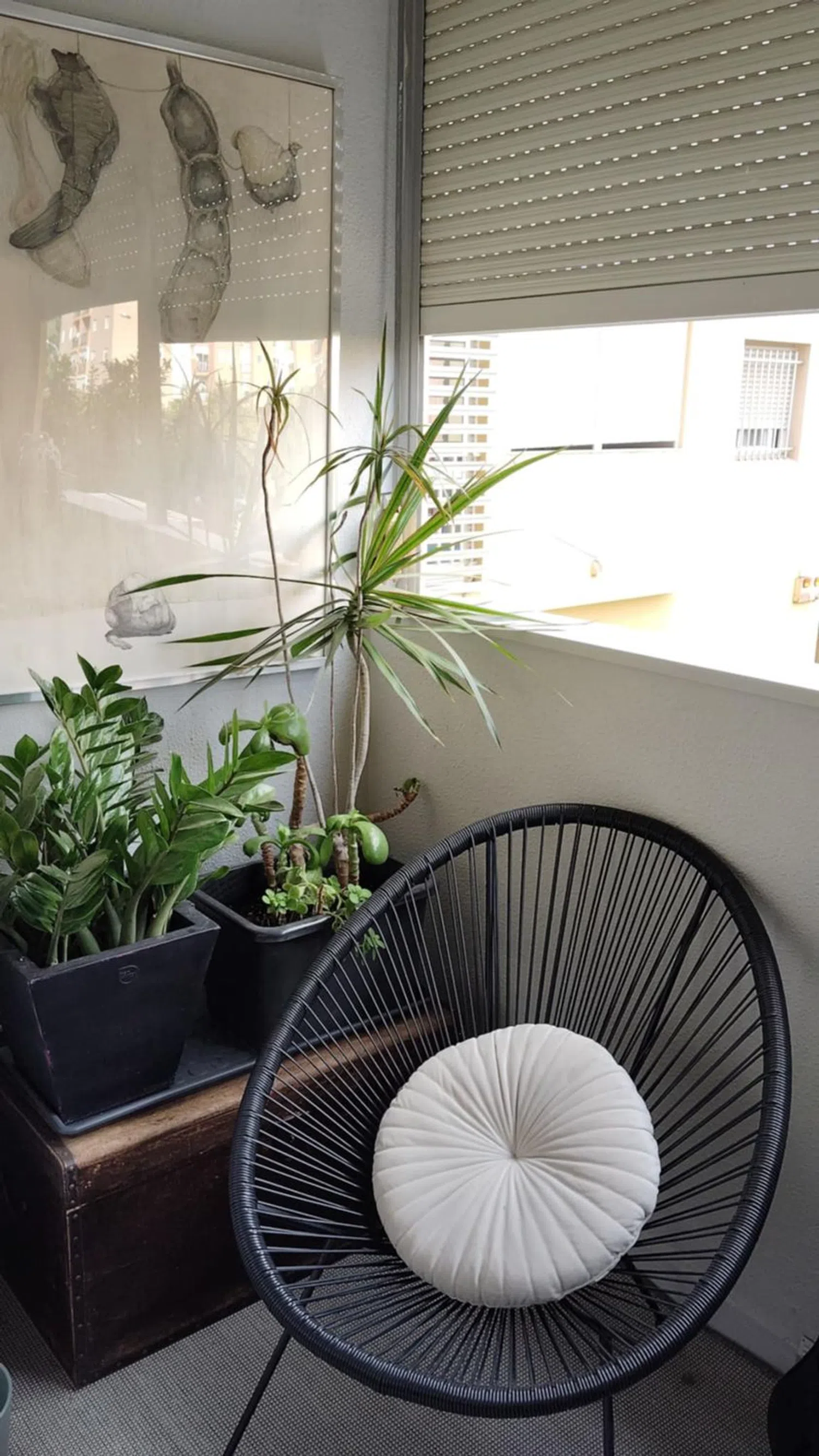 Piso en plaza la Malagueta, 3 - Foto 8