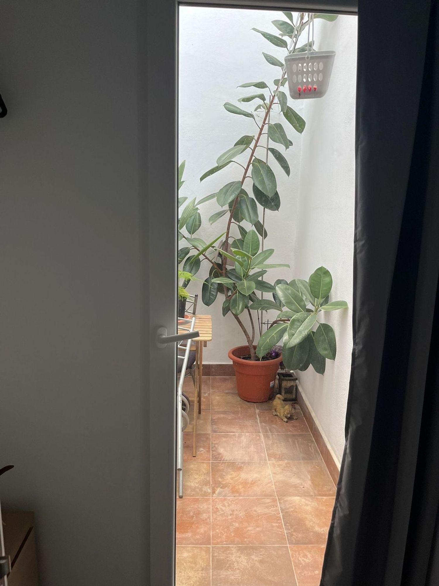 Piso en calle de Molina, 32 - Foto 4