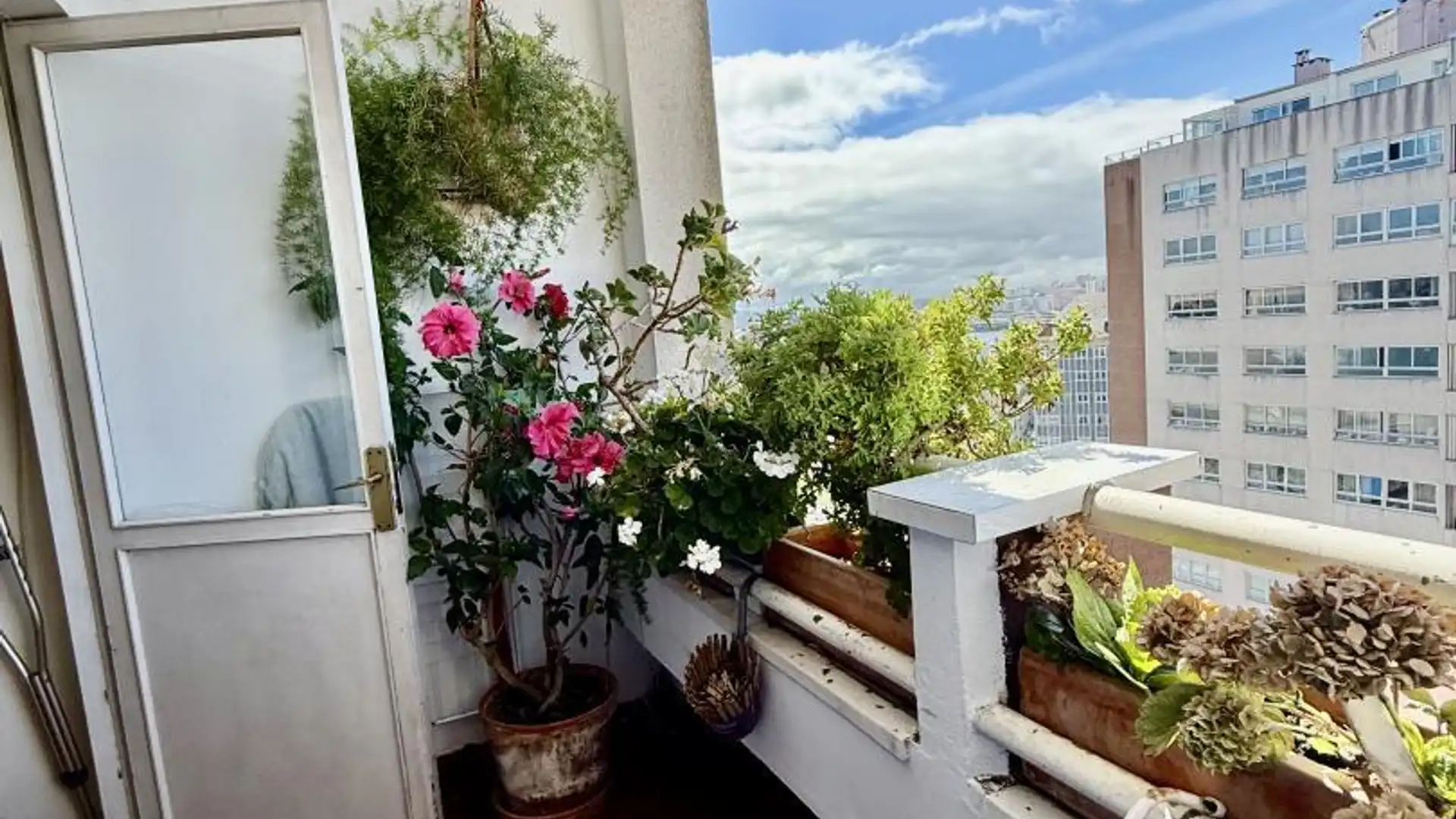 Piso en  Travesía Modesta Goicouría 7 - Foto 24