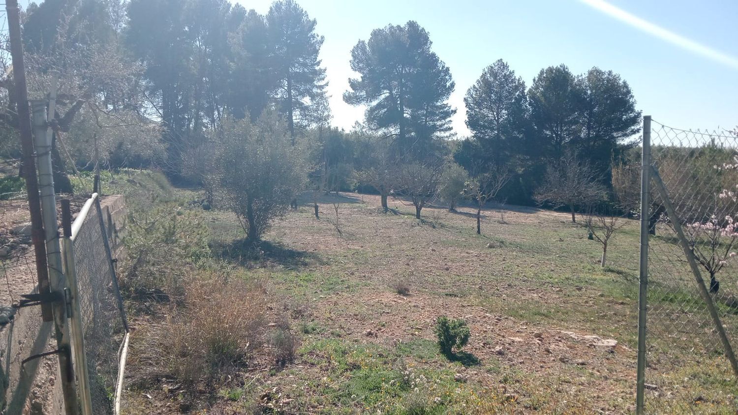 Finca rústica en Poligono 2, 121 Parcela - Foto 15