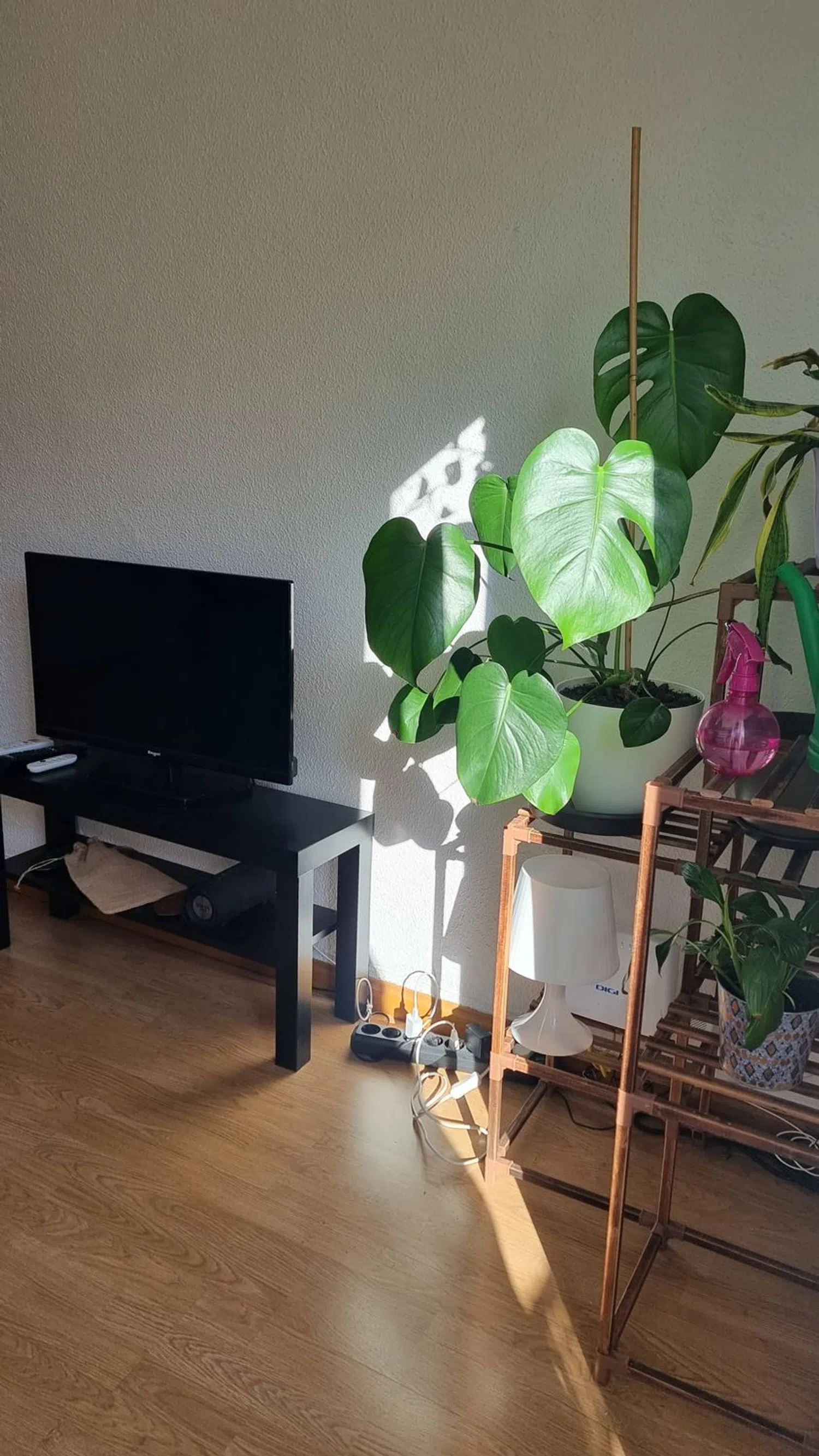 Piso en avenida del Doctor Federico Rubio y Galí, 31 - Foto 6