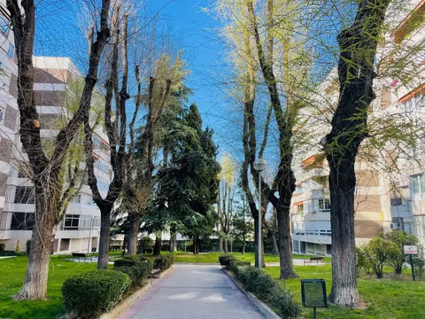 Piso en calle de Javier del Quinto, 6