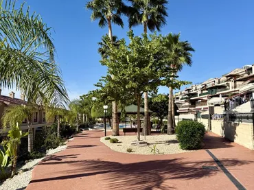 Planta baja en  Carrer de l'Algeps 878B - Foto 20