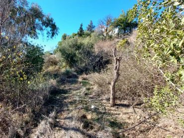 Terreno en  Urbanización Montaña Marbella Club 2 - Foto 9