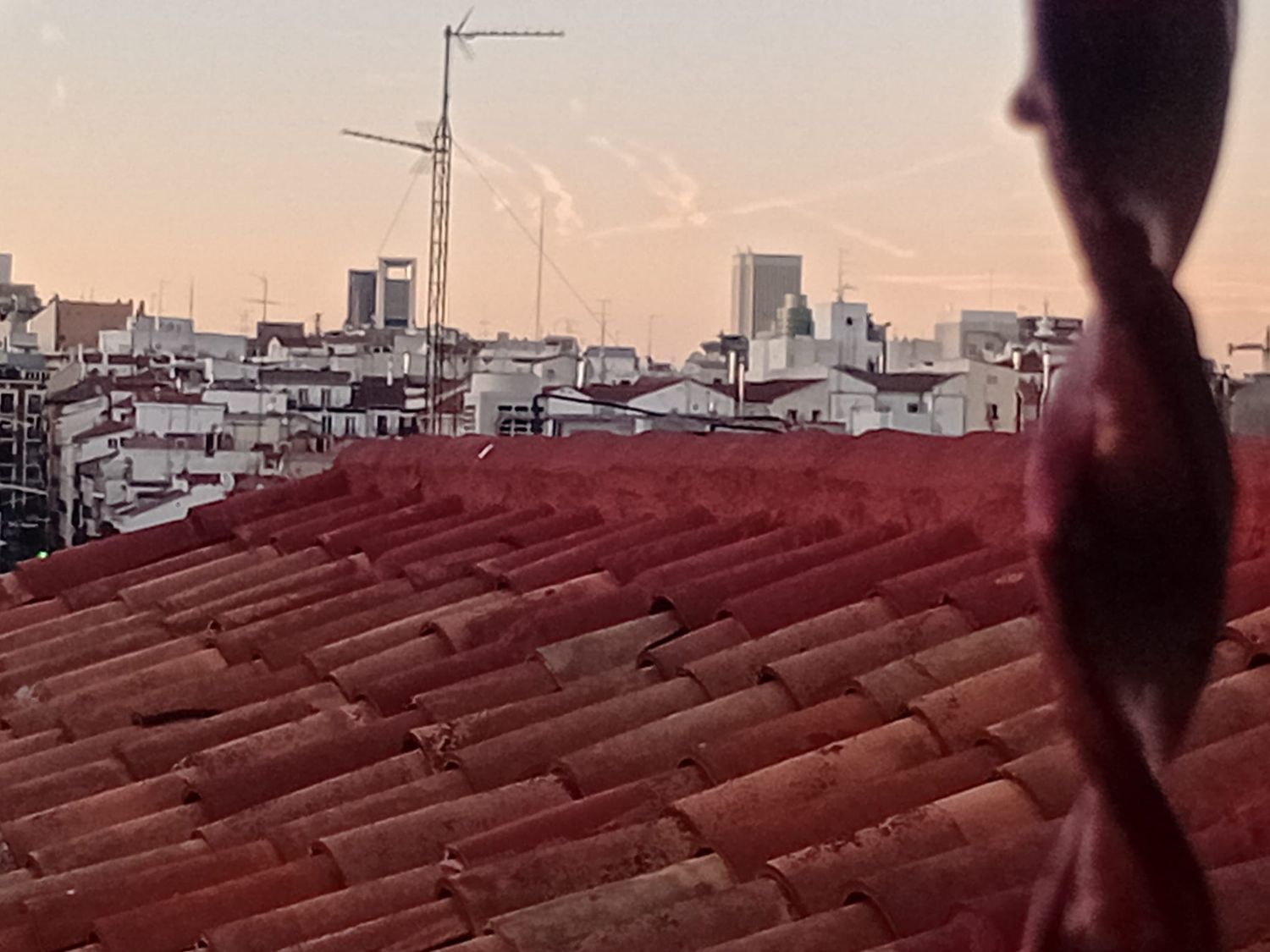 Dúplex en calle del Espíritu Santo, 21 - Foto 32