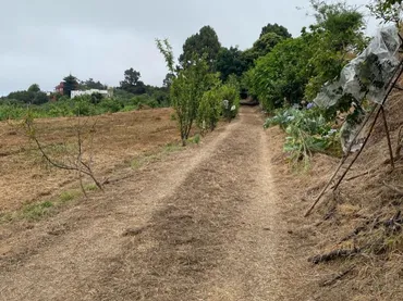 Finca rústica en  Camino el Cribo 8 - Foto 9