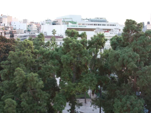 Piso en Plaza d'Alfons el Magnànim, 3, La Xerea - Foto 7