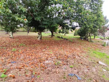 Planta baja en  Rúa Doutor Martínez Rodríguez 22 - Foto 30