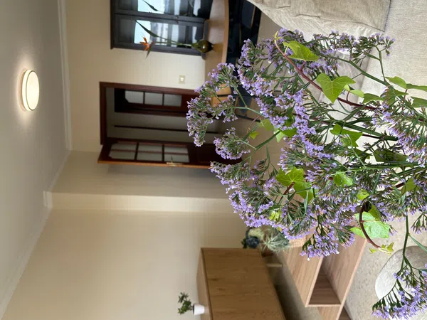 Piso en calle Lomo la Plana, 14 - Foto 2