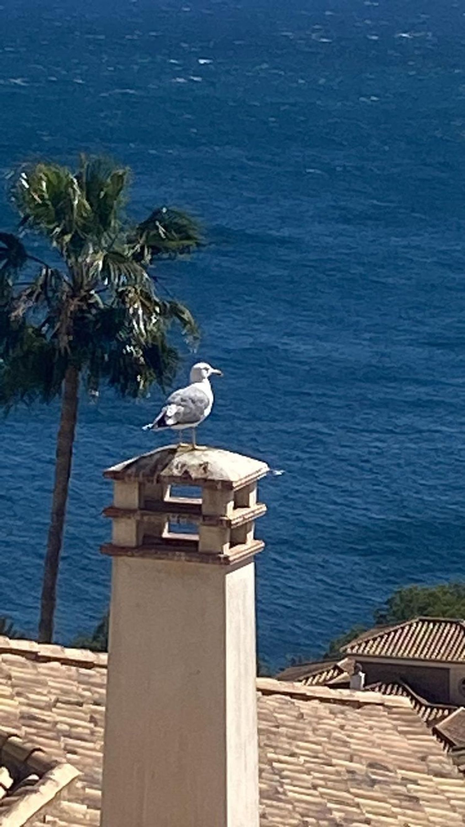 Piso en Punta La Mona - Foto 3
