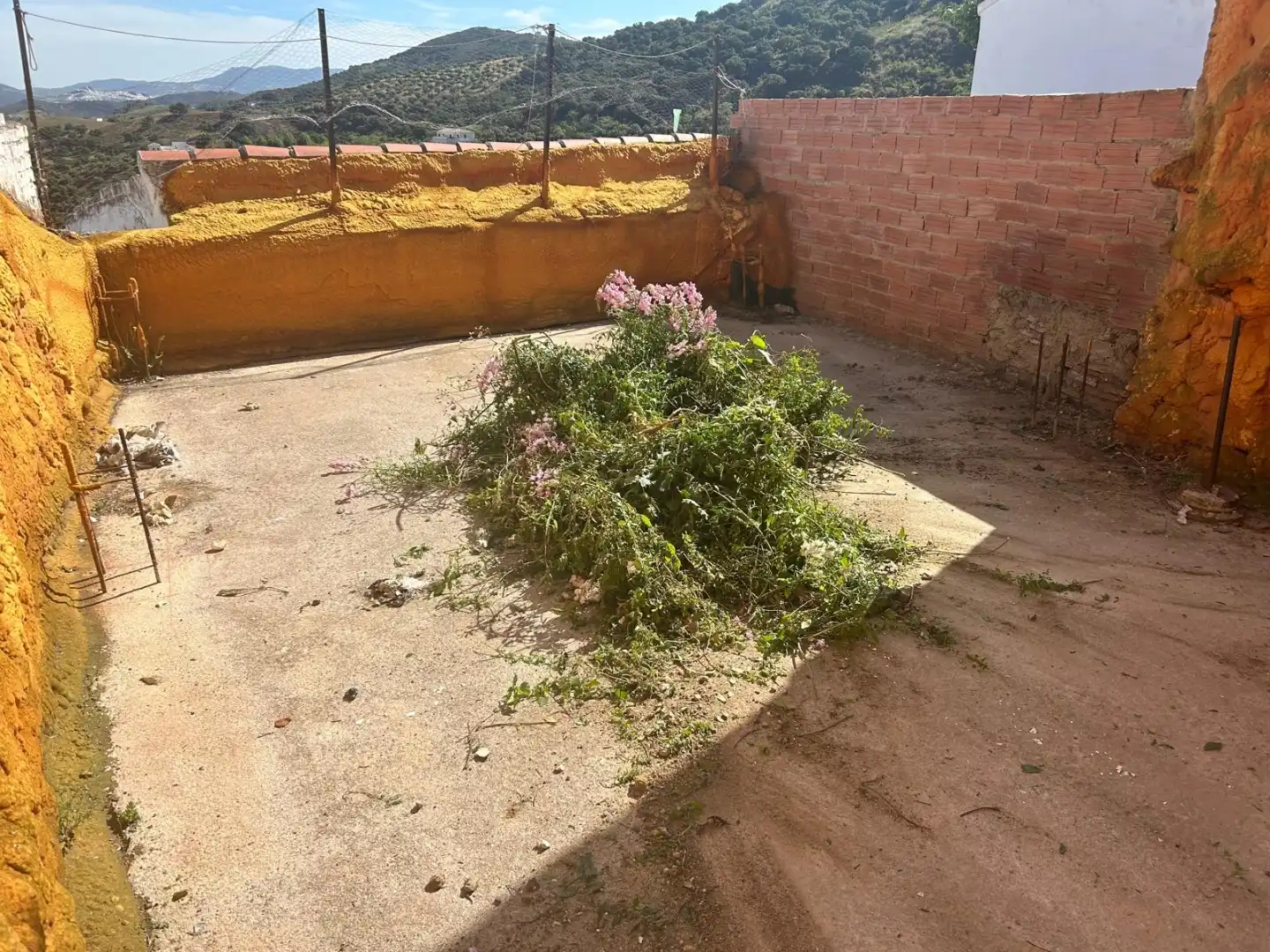Planta baja en  Calle Parche 3 - Foto 4