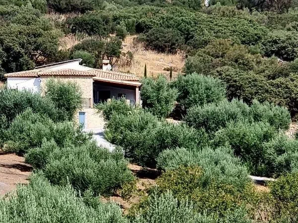 Casa o chalet independiente en Lugar Capachos s/n - Foto 2