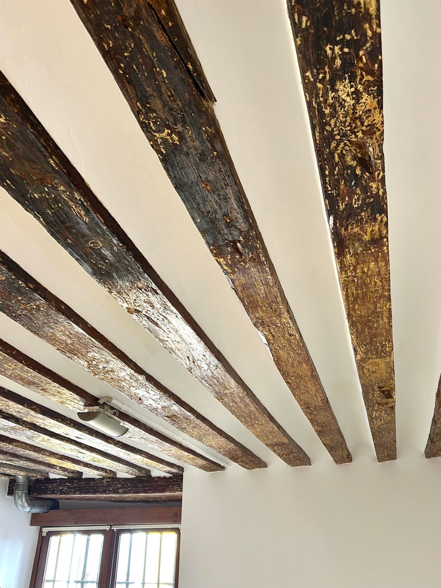 Dúplex en plaza Cordón, 1 - Foto 23