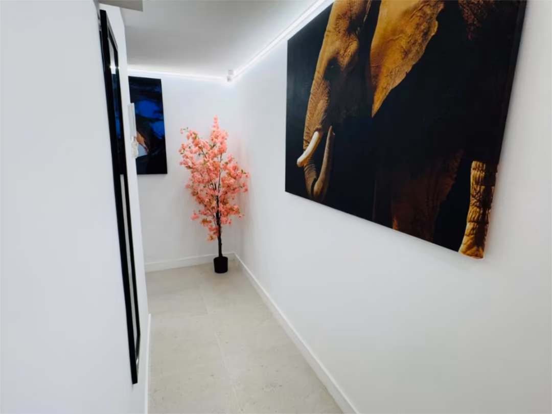 Loft en  Calle Francisco Cambo 6