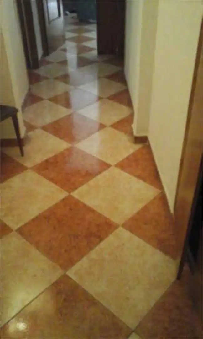 Piso en Moctezuma - Foto 2