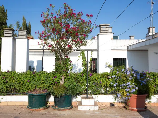 Piso en Calle Santa Marina, 30, San Julián - Foto 16