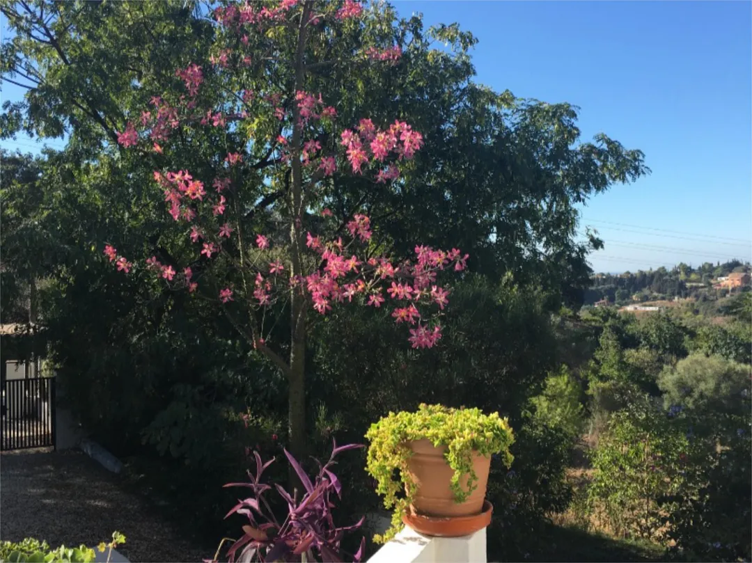 Chalet en  Calle de la Palmera 6 - Foto 37