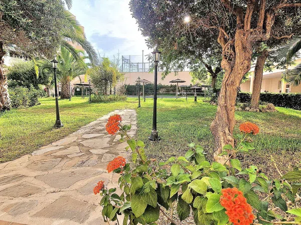 Piso en Calle Píndaro, 19, El Consul - El Romeral - Foto 8