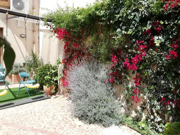 Casa o chalet independiente en Calle Bernat de Santa Eugènia, 37 - Foto 9