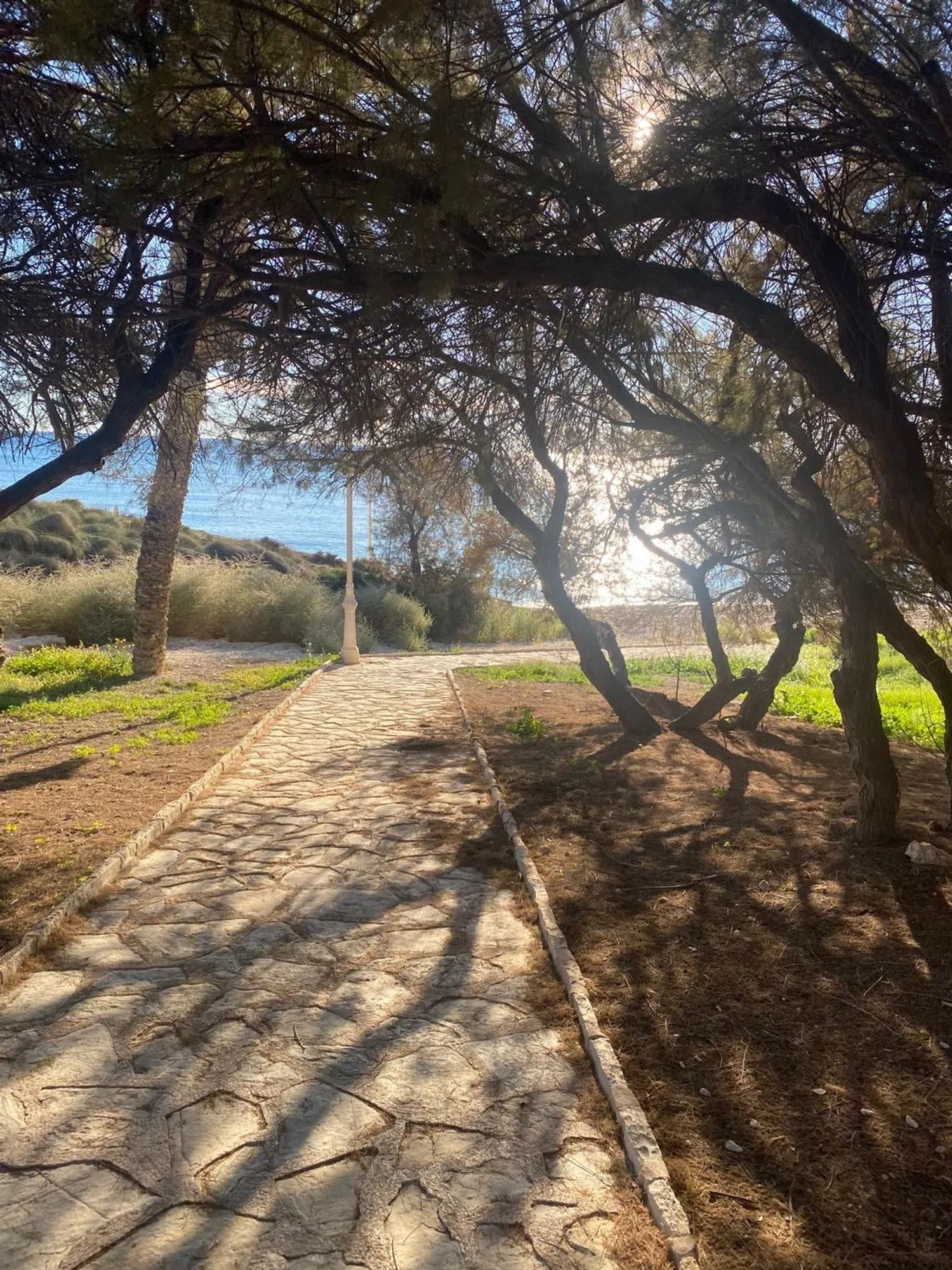 Piso en avenida de la Almadraba, 9 - Foto 14