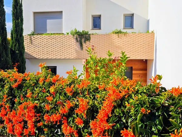 Chalet pareado en Calle Chirimoyo, 6, Mijas Pueblo, Mijas Pueblo - Foto 10