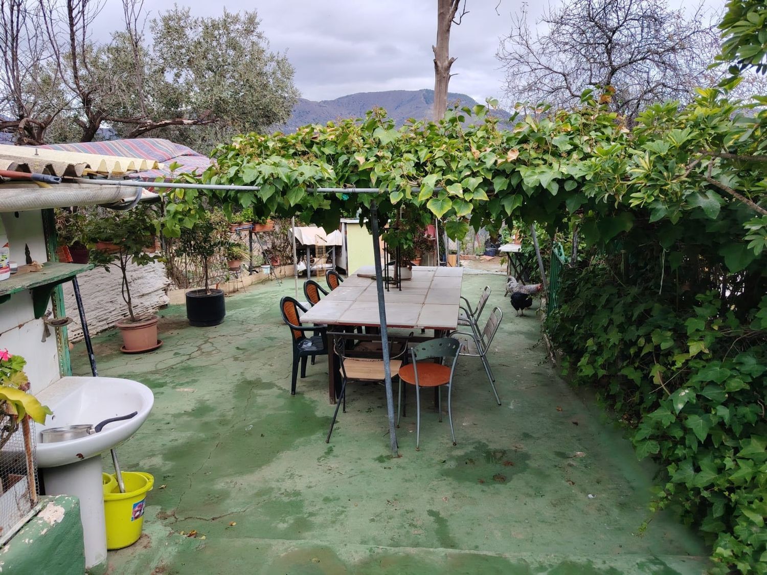 Finca rústica en Carretera de Casabermeja, 1 - Foto 10