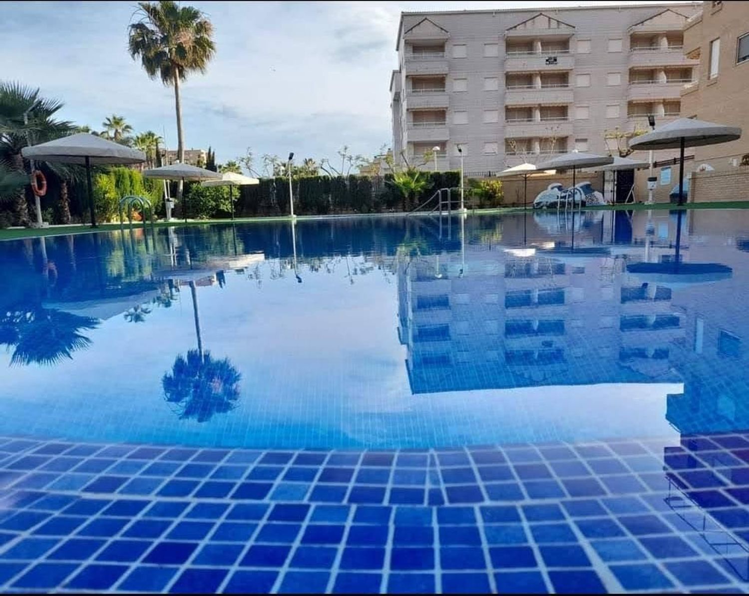 Piso en Avenida Central, 14, Marina Trebol - Neptuno - Foto 2