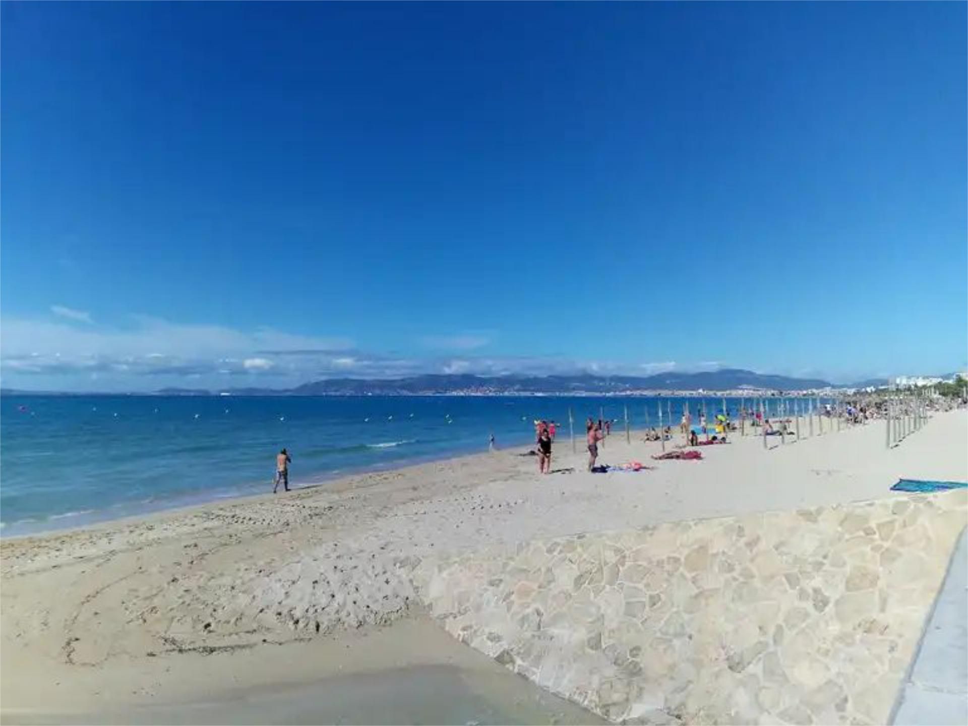 Oficina en  Carrer del Veler 3